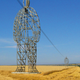 Illustration for article titled These Beautiful Giant Sculptures Support Power Lines With Style